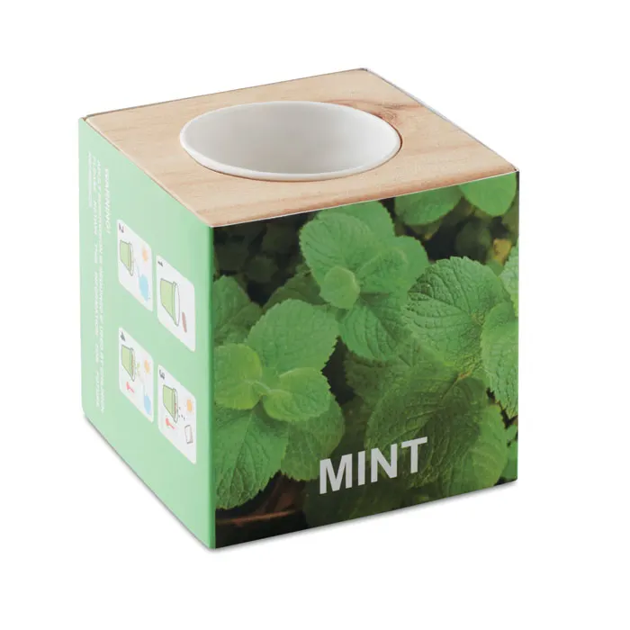 Menta – Herb pot wood "MINT" — Wood